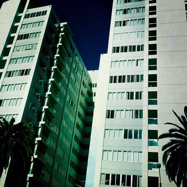 #oceanave #santamonica #sims #gregsimsphotography #california #beachlife #ocean #california #travel #goodlife #lifeisgood #sitescout