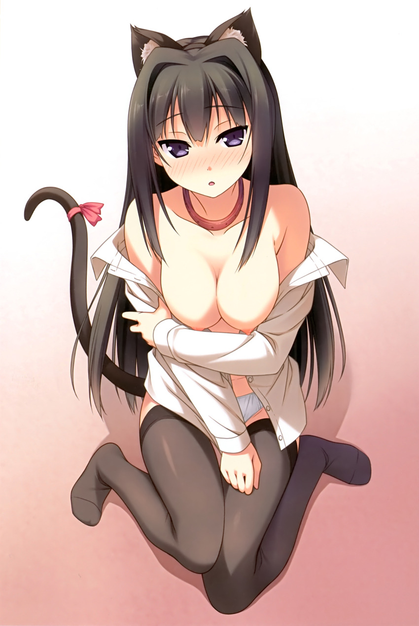 Sexy catgirls and stuff