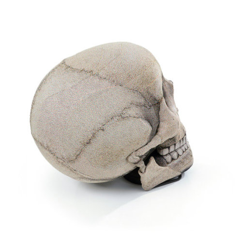 crumblymilk: spectrezerg: ursulavernon: tabbiewolf: fearinthewind: this skull chair is fucking ridic