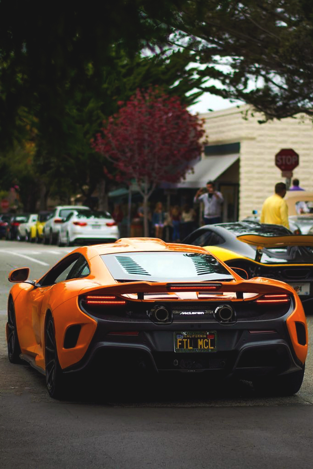 souhailbog:   Brothers in Arms   By   SouthBayExotics   | More 