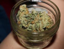 the-stoners-blog:  Follow » The-Stoners-Blog «and on Instagram » @StonerSupplyCo «