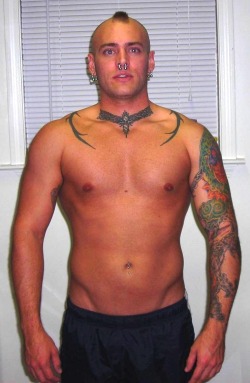 Septumfiles:  Sfcrewcut:  Yes.  Follow Me For Awesome Pierced Septumsseptumfiles.tumblr.com