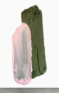 topcat77: Donald Martiny Abipón, 2017 