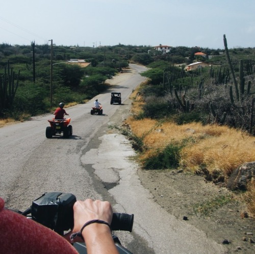 ATV Adventures in Aruba (p.s. Thank you for 200 followers! ❤)