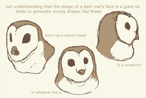 petermorwood:abbi-normal-art:krawdad:snoozlebee:ahaha, this is delightful. :DFeathers are bullshitBi