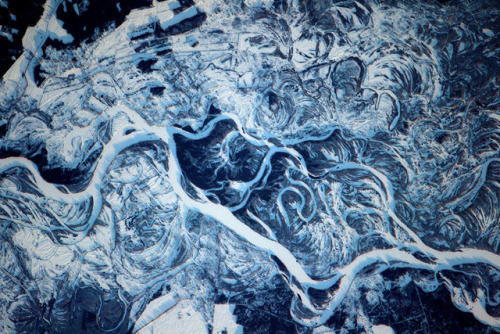 Abstract ArtAstronaut Thomas Pesquet captured this photo of the floodplain of the Dneiper River nort