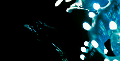 sharonvalerii:Pacific Rim (2013)“Fortune favors the brave, dude.”