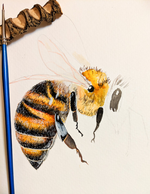 3 years ago I painted my first bee and just few days ago I painted this one. <3