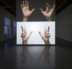 disclosable:  For Beginners (All the combinations of the thumb and fingers), 2010 - Bruce Nauman