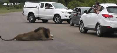 The Best of Tumblr Blog - 1000notes.com