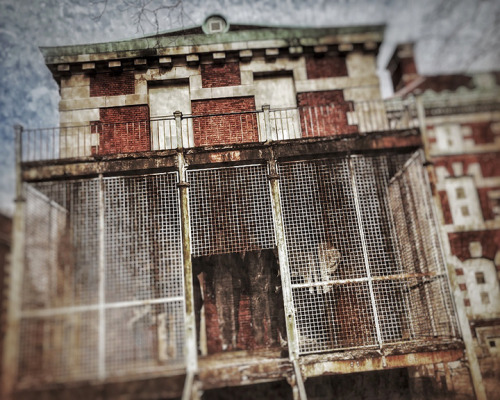 robertwoodimages
