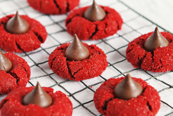 ilovedessert:  Red Velvet Peanut Butter Blossoms