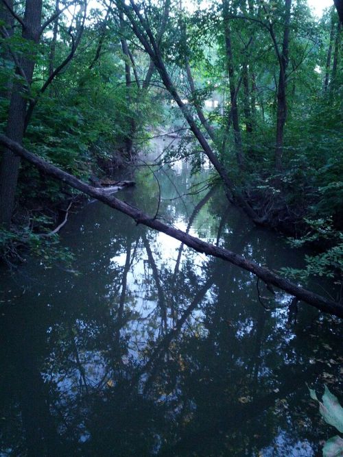 A Park by the Lake by LisaBeth1