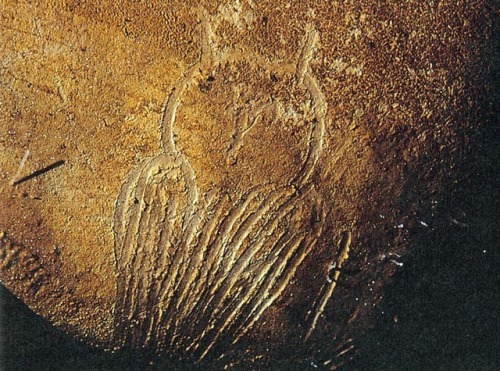 terpsikeraunos:oehoe-owls:The oldest known image of an owl created by muddy fingers in Chauvet Cave 