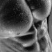 wetguys-x: