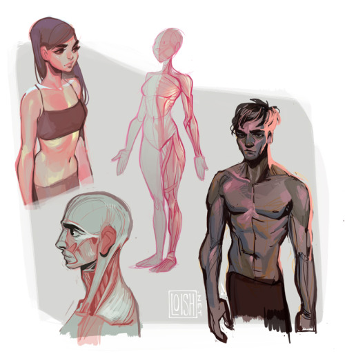 loish:  3DTotal was generous enough to share with me a sample of their male and female anatomical figures, so I took some time to quickly study the figures, as well as make some sketches combining my personal knowledge and the figures as reference. I