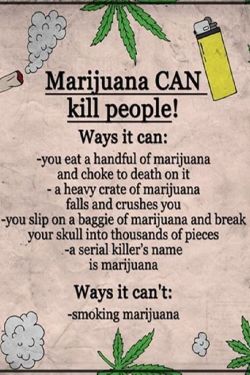 herbmedication: marijuana can kill people  Cannabis Seeds 