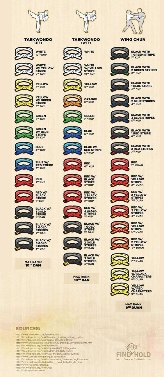 parkour-freerunning-feiyue: Martial Arts Belt Ranks~ follow back if you like it 