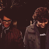 The Adventures of MooseHead!