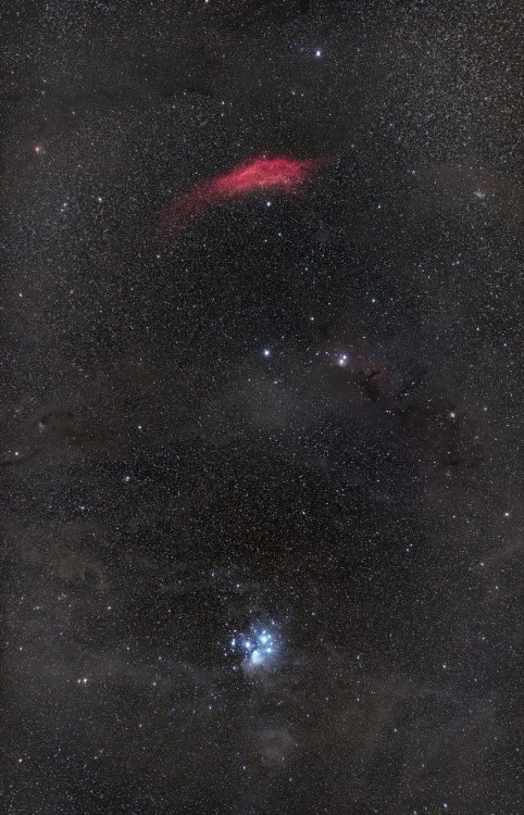 California Nebula and the Pleiades