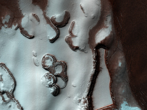 beautifulmars: Ponder the Pretty Polar Pic