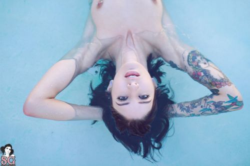 sgw0rld:  Venus - Morning Swim 