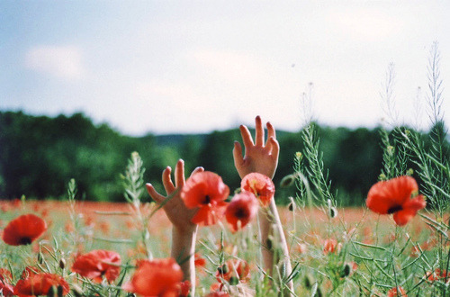 ribbonsentwined:  Amazing on We Heart It. 