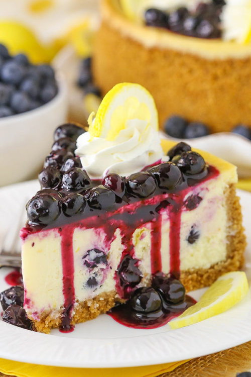 foodffs:LEMON BLUEBERRY CHEESECAKEFollow for recipesIs this how you roll?