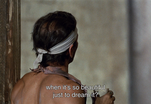 thelittlefreakazoidthatcould:Il Decameron (1971) // dir. Pier Paolo PasoliniMood