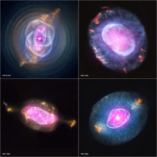 This gallery shows four planetary nebulas from the first systematic survey of such objects in the so