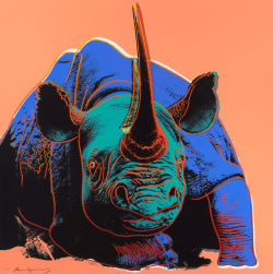 Black Rhinoceros (from Endangered Species),