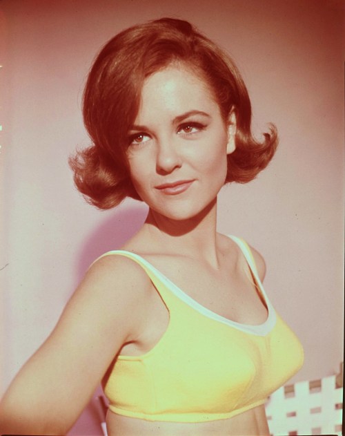 jeanjeanie61: Shelley Fabares americanpic2012.blogspot.co.uk