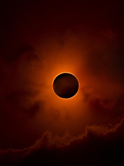 opticallyaroused:  Annular Eclipse