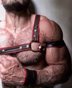 beardburnme:  pedrao_gyn Instagram