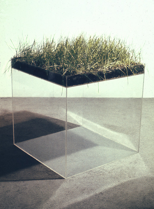 gallowhill:  Hans Haacke - Grass Cube, 1967