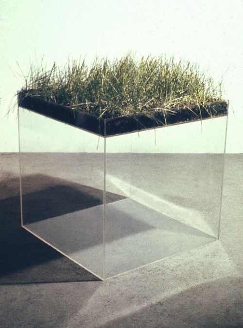 gallowhill:Hans Haacke - Grass Cube, 1967