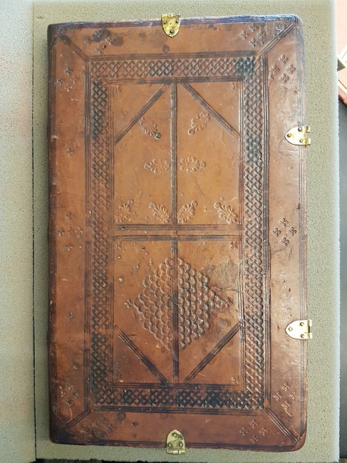 LJS 48 -  Instrumenta feudorum castri SoneHere we have some notarial copies in Latin of decrees