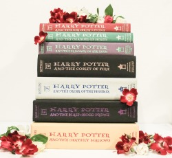 readthebloodybook:  November Book Photo Challenge. Day 22. Thankful. I think were all thankful for Harry Potter