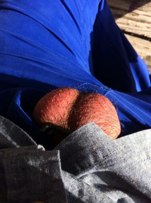 http://mrnopantsnoway.tumblr.com/post/63211496377