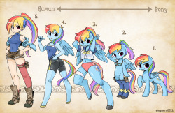 Types- RainbowDash.