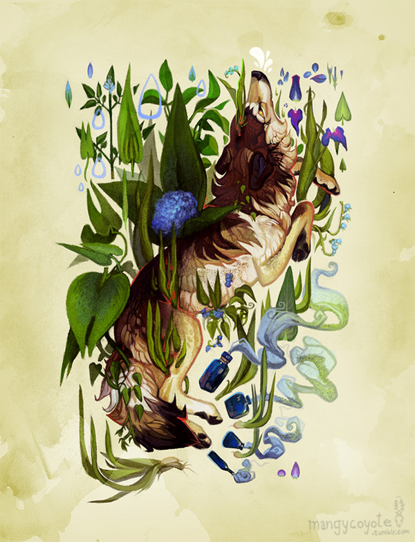 mangycoyote:  Purify by *CoyoteMange 