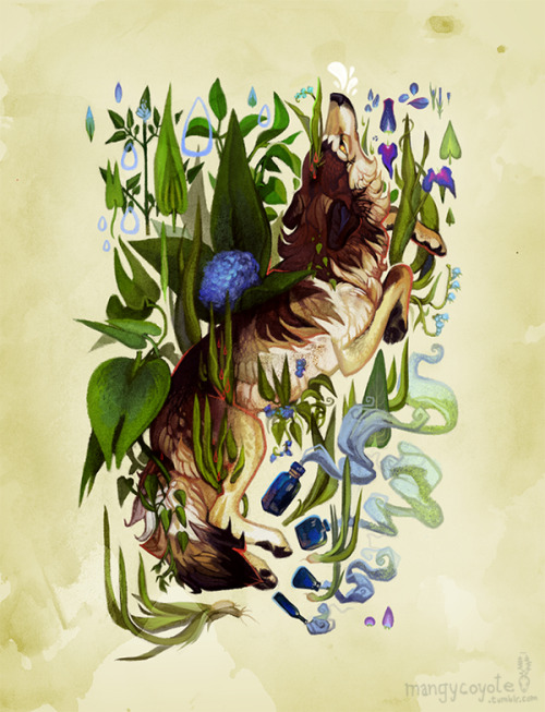 mangycoyote:  Purify by *CoyoteMange 