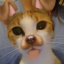 emmmlu