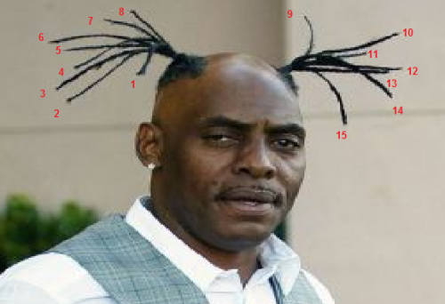 brainfried:as you can see here, there are 15 braids.