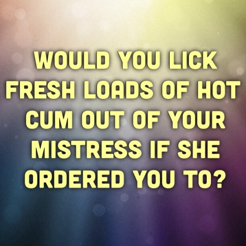 Curious Sissy