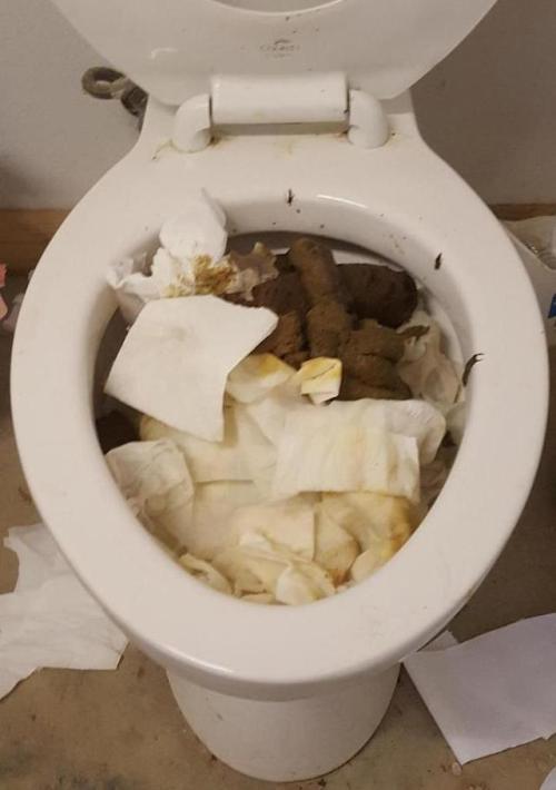 hotfilthyshit2: Wow! There's a lot of smelly treasure under all that paper. Man