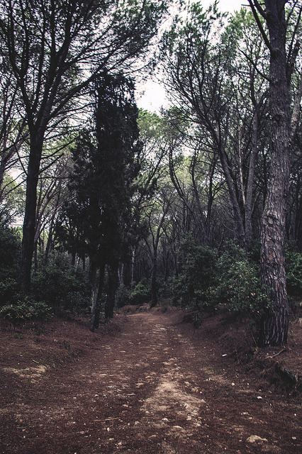 oh-haroo:  Follow me for more vertical nature and landscape!