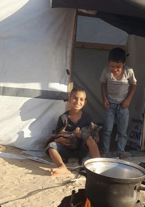 Hi, I Am Making This Post On Behalf Of My Friend, Sarah, Who Is Just 16yo And Struggling To Survive With