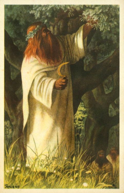 druids celtic priest