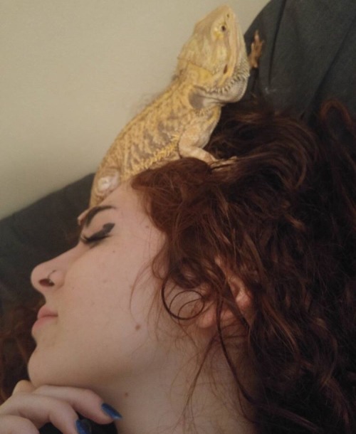 smallreptile:She absorbs my unnaturally volcanic body temperature in exchange for worms and we are o